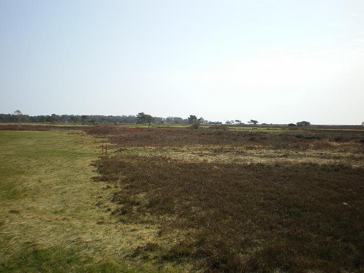 IMGP0532.JPG